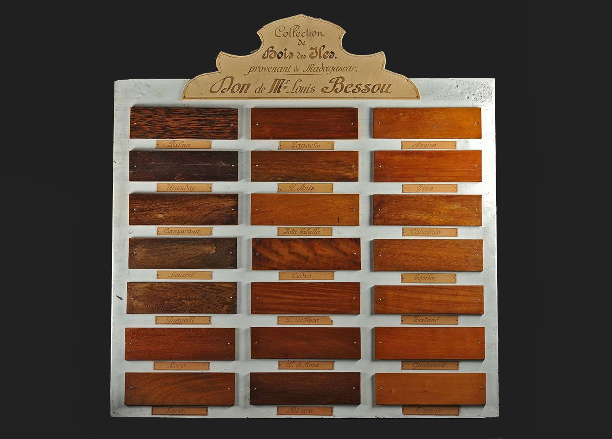 « Bois des îles provenant de Madagascar », don Louis Bessou, planche de présentation réalisée par P. Lacomme en 1920 – coll. muséum ETH.AC.1404