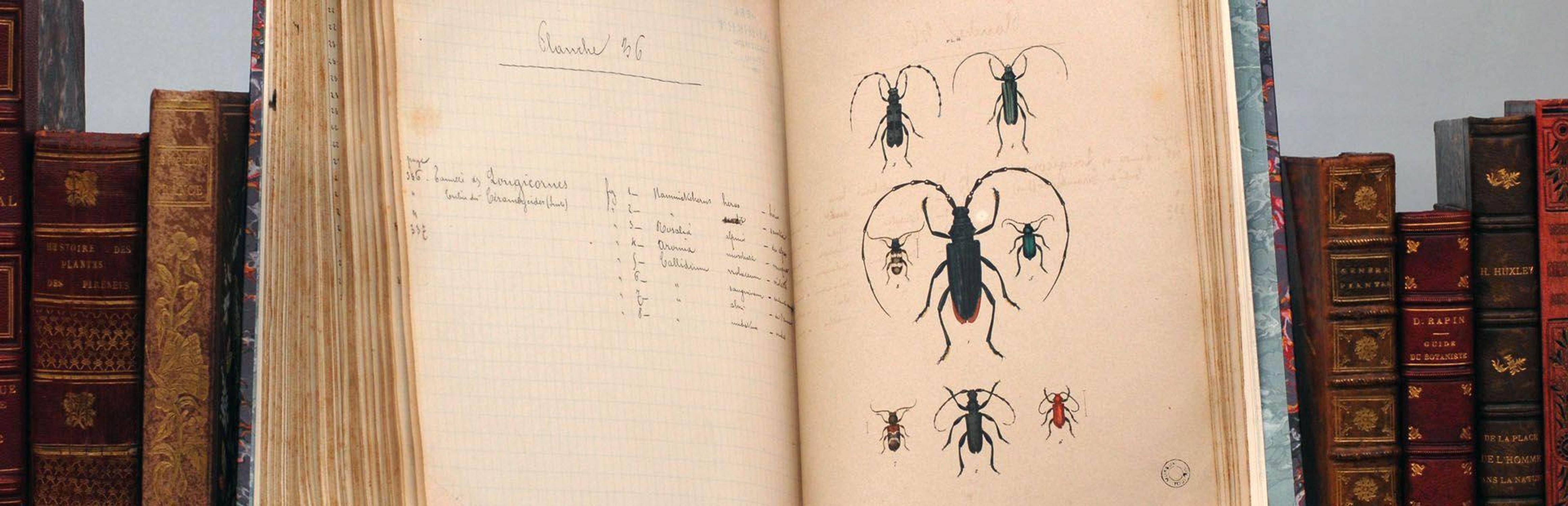 Ouvrages du fonds ancien de la bibliothèque du muséum