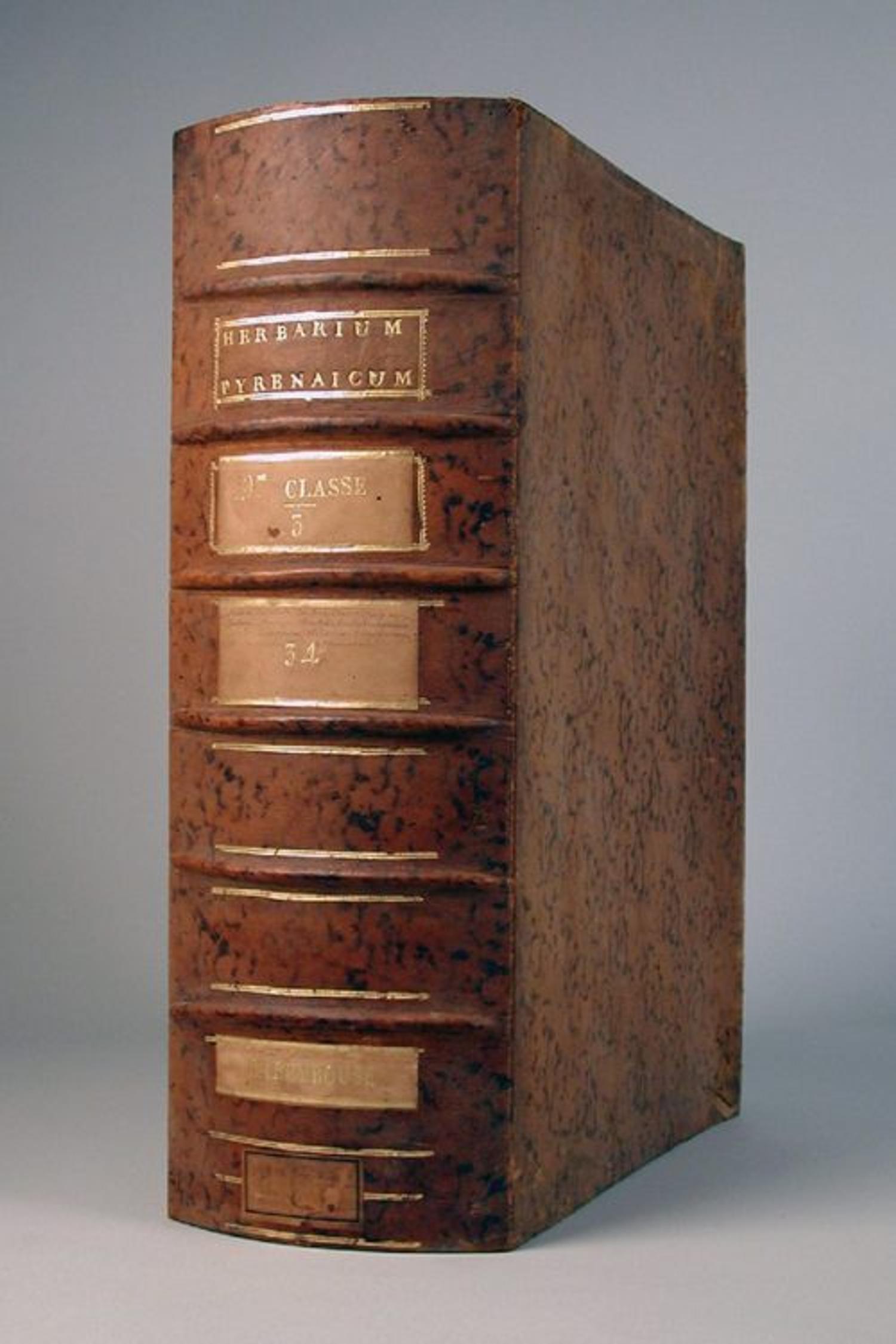 L’une des 28 boîtes de l’Herbarium pyrenaicum de Picot de Lapeyrouse – coll. muséum, MHNT.BOT.2011.0.3463.1-27