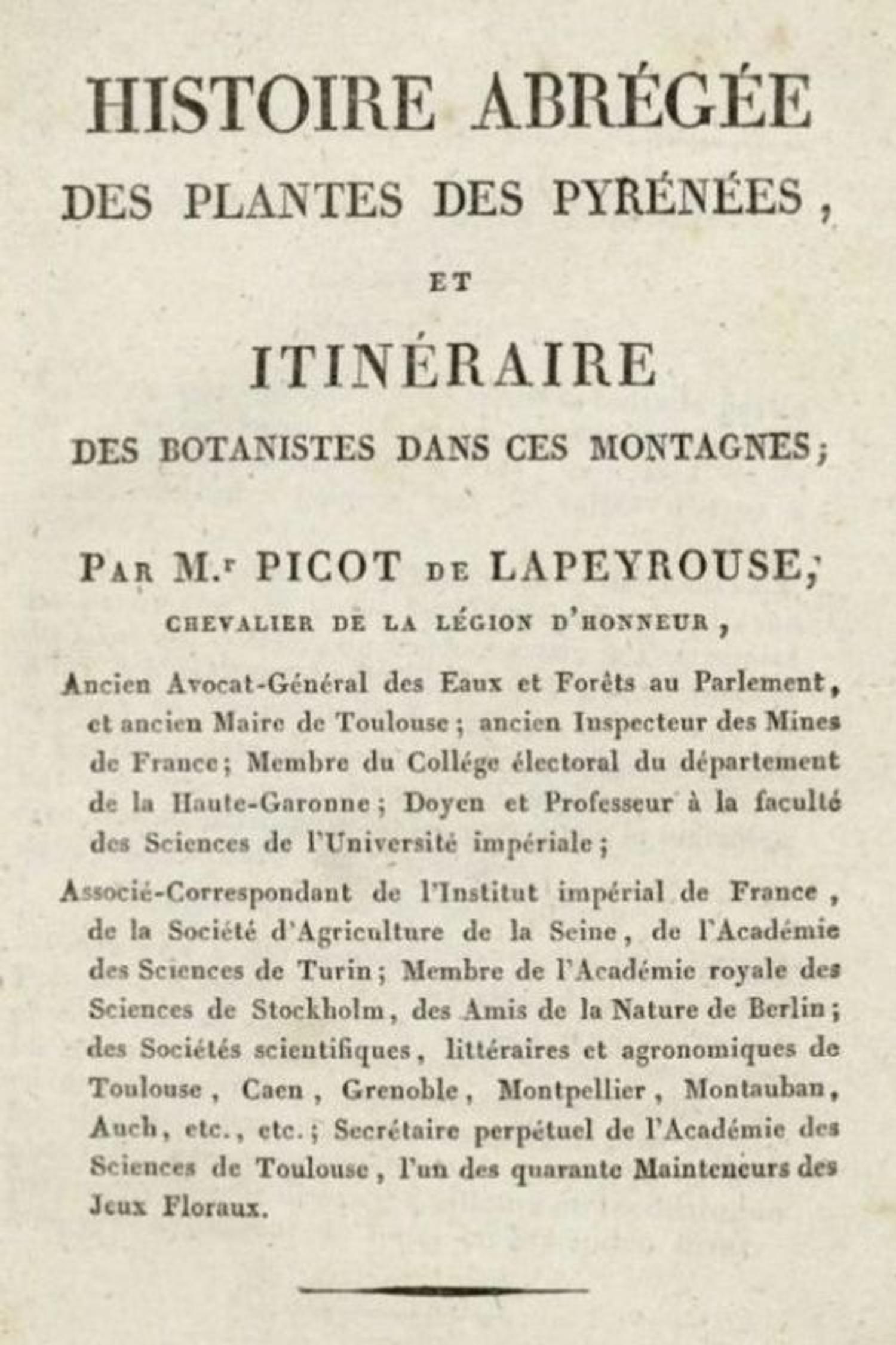 Histoire abrégée des plantes des Pyrénées et Itinéraire des botanistes, Picot de Lapeyrouse, 1813 – Bibliothèque municipale de Toulouse, cote B.C 45, Rosalis