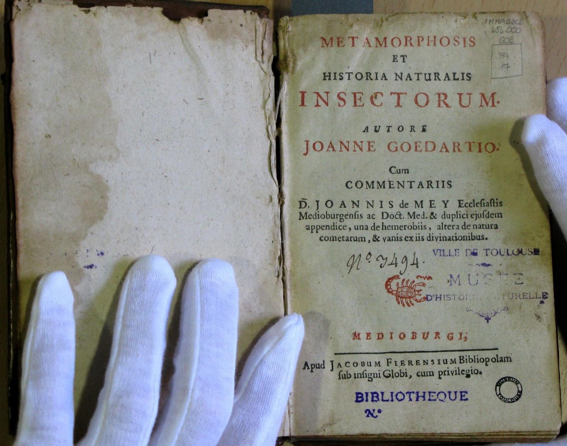 Metamorphosis et historia naturalis insectorum, Jan Goedart, édition de 1662, cote FA 17