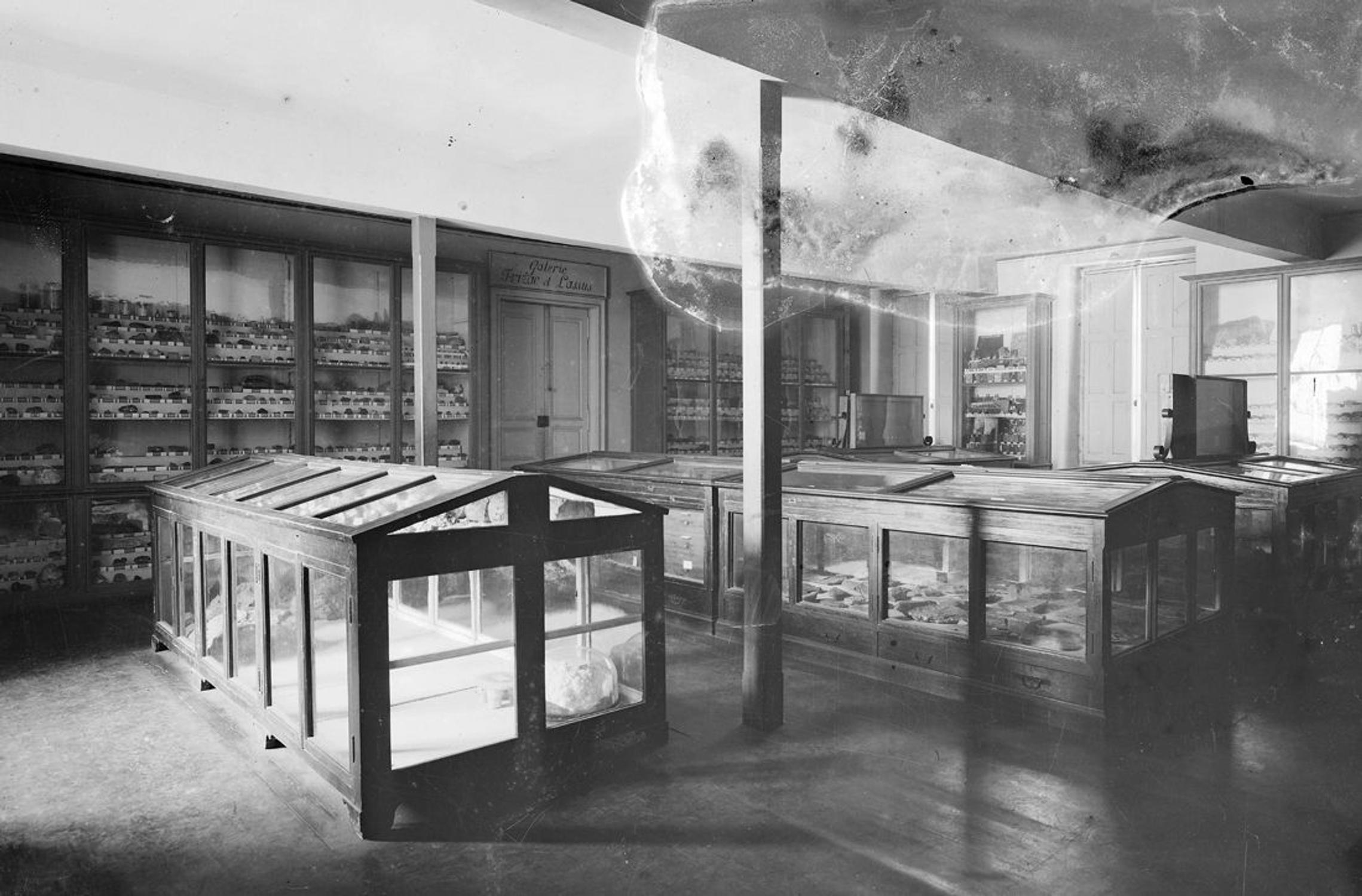 Galerie de minéralogie Frizac et Lassus du musée, photo. : Augustin Pujol – coll. muséum, MHNT.PHa.1824.15.006