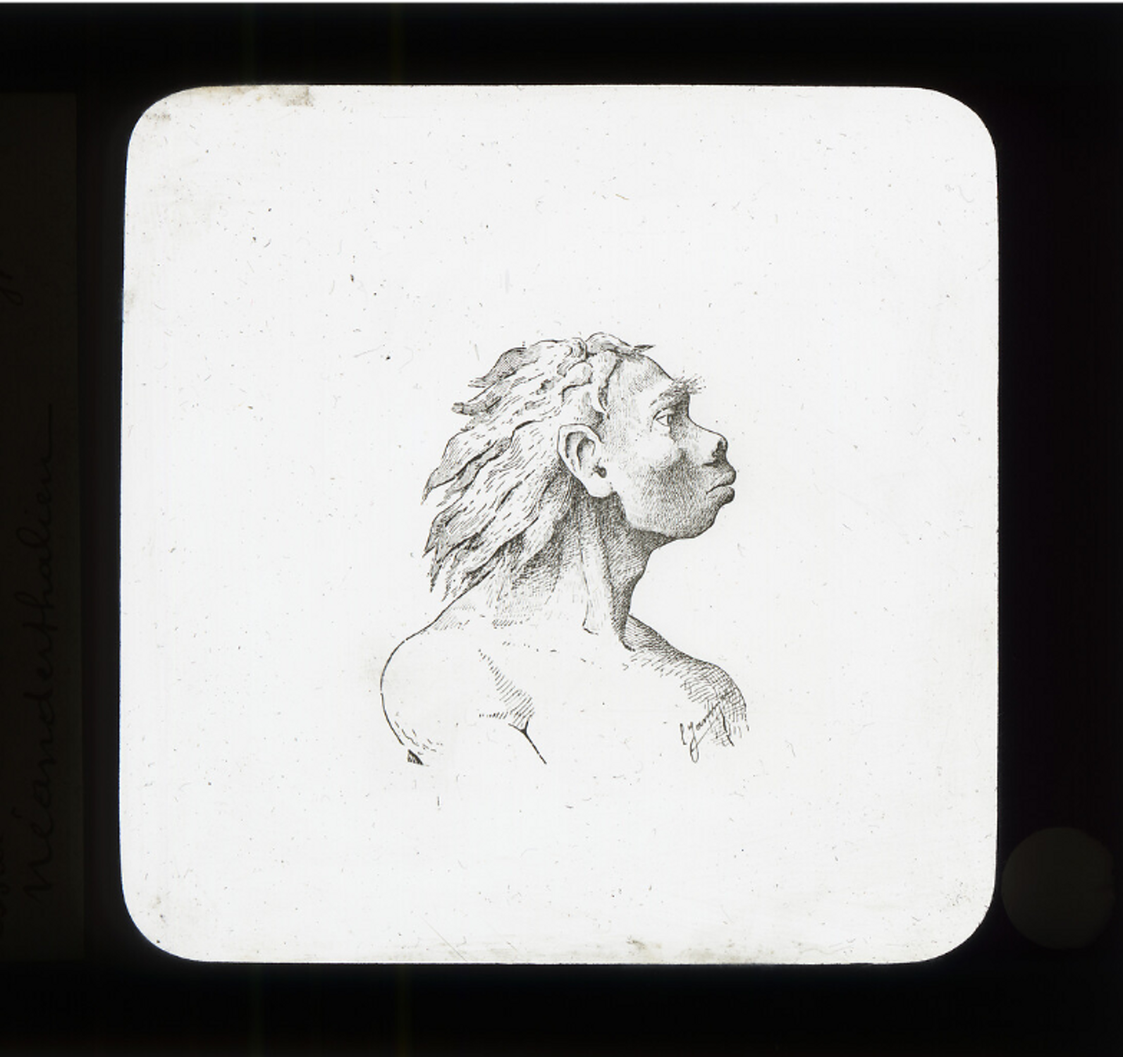 Essai de reconstitution du type Néanderthalien, plaque de projection positive, format 8,5x10 cm, fonds Mengaud – coll. muséum, MHNT.PHb.8510.01.0016