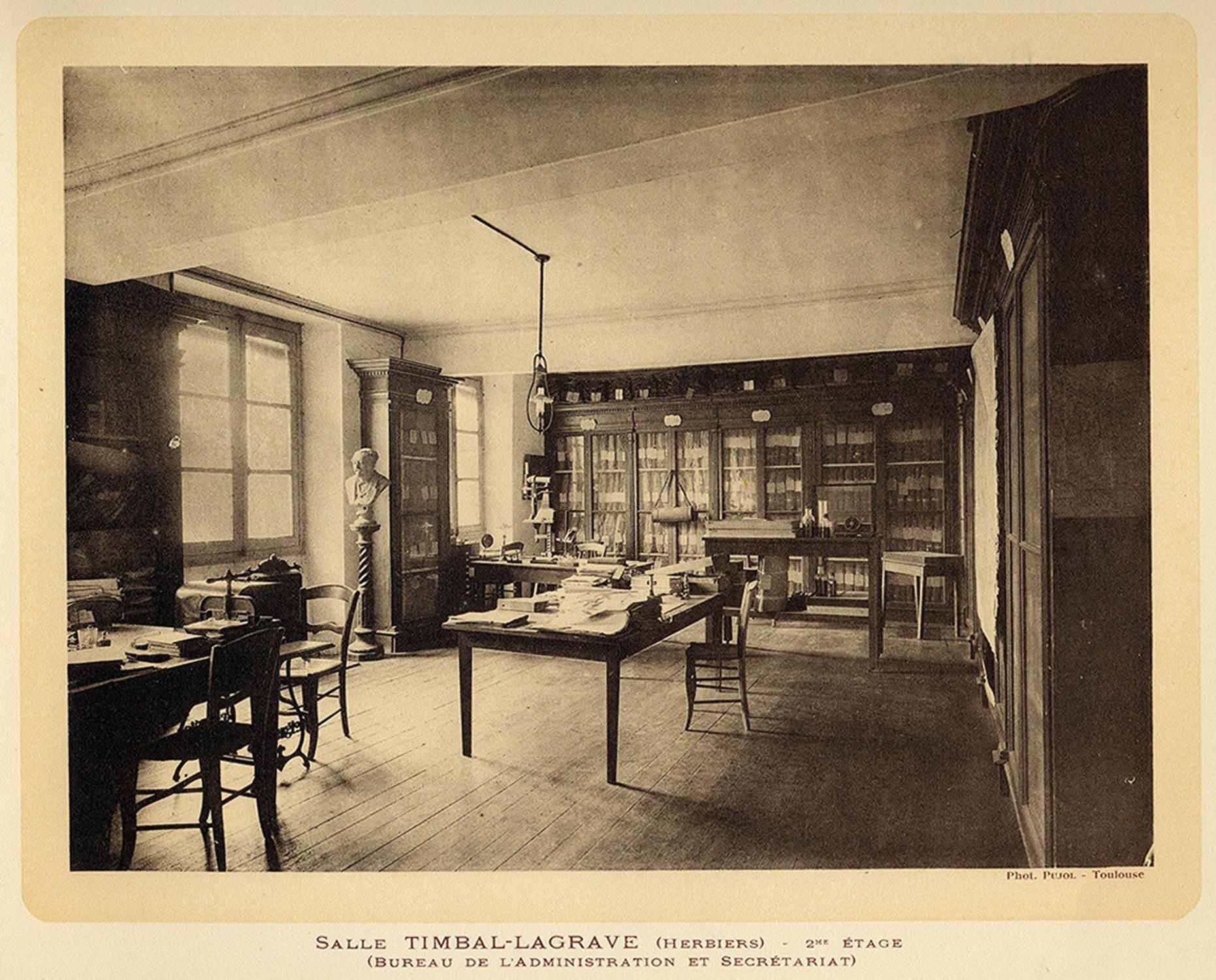 Salle Timbal-Lagrave, photo. Augustin Pujol – coll. muséum, cote A 139